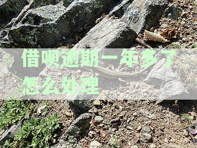 如果借呗逾期一年了后果还严重吗？会起诉吗？