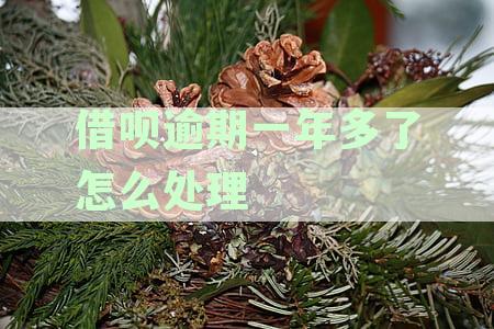 借呗逾期一年多是否会影响个人信用记录及对未来信贷的影响？