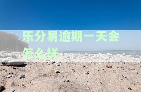 乐分易晚一天还款征信影响及还款相关问题解答