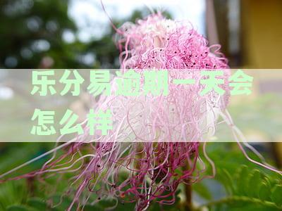 乐分易逾期一天会怎么样