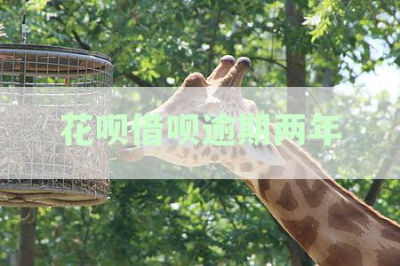 支付宝花呗借呗逾期两年未还款，如何协商处理？