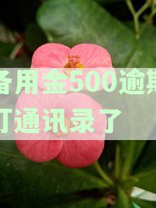 备用金逾期500元会怎样？通讯录被轰炸的风险及应对措全面解析