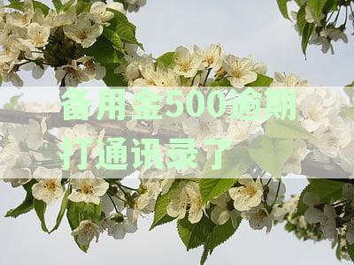 逾期未还备用金的后果及通讯录受损程度分析 - 支付宝