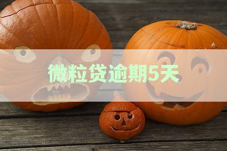 微粒贷逾期5天：征信受损的风险与应对策略