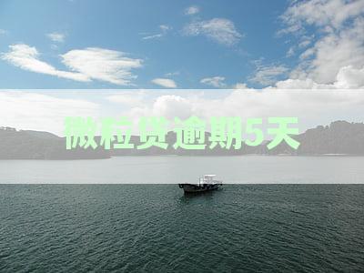 新微粒贷逾期5天可能产生的后果及解决方法全面解析