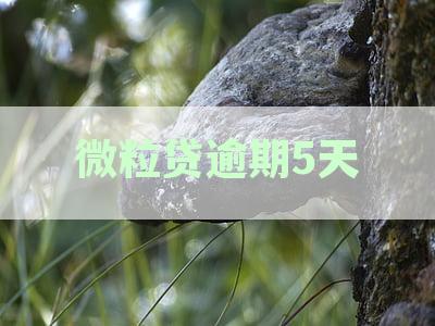 微粒贷逾期5天了，说要法院诉讼是真的吗？已经立案，我该怎么办？