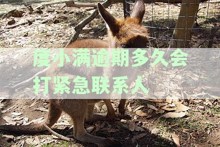 度小满逾期还款时间及如何联系紧急联系人的策略分析