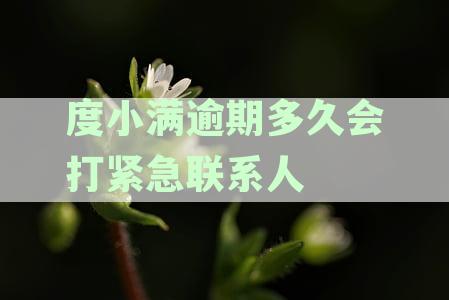 度小满逾期多久会打紧急联系人