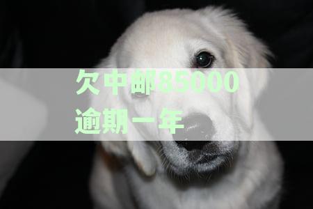 '中邮逾期贷款处理攻略：如何避免影响钱包与解决后果'