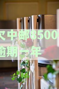 中邮欠款逾期半年，后果如何？