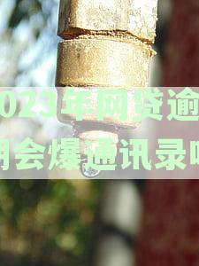 2023年网贷逾期后果：通讯录是否会泄露？如何避免并解决此问题？