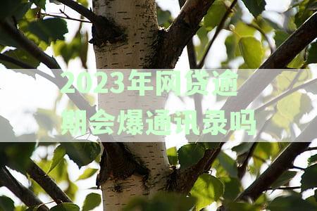 XXXX年网贷逾期问题：新规定会影响你的通讯录吗？