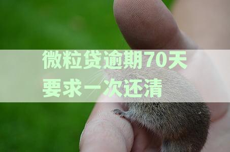 微粒贷逾期74天：申诉程序、律师函和全款还款处理方式及信息收集