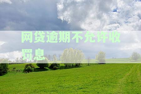 网贷逾期罚息问题全面解答：如何避免、减免以及处理方法一文详解