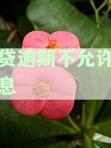 逾期罚息合法围：了解您的权益及应对策略