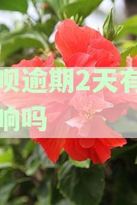 借呗逾期2天是否会产生贷款负面影响？逾期还款后果及解决方法解析