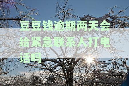 豆豆钱逾期三天后将联系紧急联系人，提前了解还款计划以避免不必要的困扰