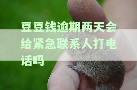 豆豆钱逾期后多久会联系紧急联系人？我爱卡为您提供详细解答与预防措