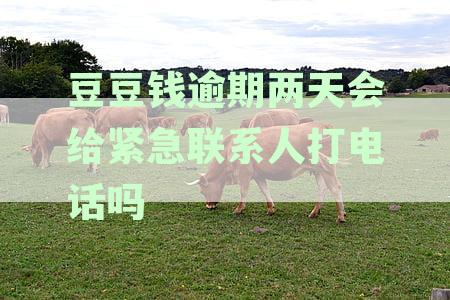 豆豆钱逾期三天没接到电话会不会打联系人电话？