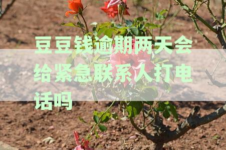 豆豆钱逾期两天后威胁联系联系人？这是真的吗？如何解决这个问题？