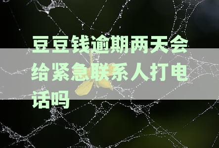 豆豆钱逾期两天会给紧急联系人打电话吗