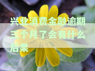 兴业消费金融逾期三个月：信用受损、贷款被拒还是被起诉？