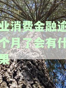 兴业消费金融逾期后果与处理建议：一天上征信、几个月只还本金怎么办？