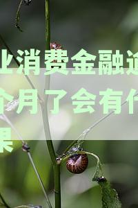 兴业消费金融贷款逾期后，是否可以仅还本金？