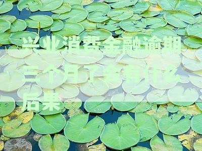 兴业消费金融逾期诉讼时效及可能后果全面解析：逾期多久会被起诉至法院？
