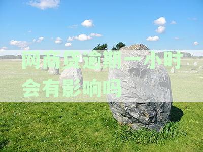 网商贷逾期还款后果与解决方法：一个小时内的影响和一天的怎么办？