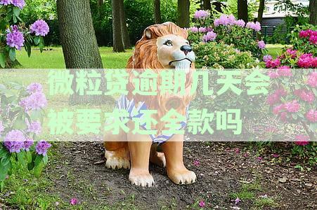 微粒贷逾期几天会被要求还全款吗是真的吗安全吗：探讨逾期还款的影响