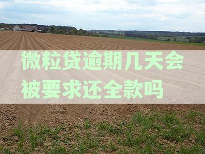 微粒贷逾期多长时间会要求全额还款：逾期多久将强制一次性还清尾款？