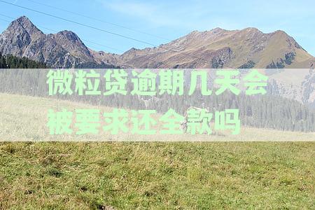 微粒贷逾期几天会被要求还全款吗