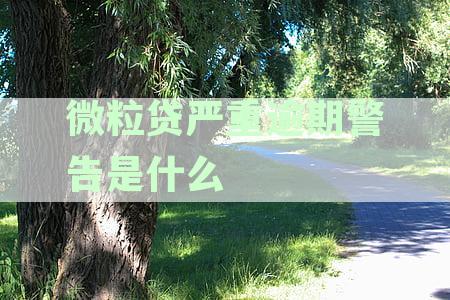 微粒贷逾期30多天违约警告升级处理方式