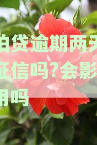 拍拍贷逾期两天：征信影响与信用修复策略全面解析