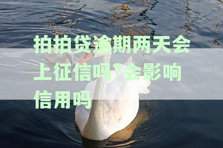 拍拍贷逾期两天会上征信吗?会影响信用吗