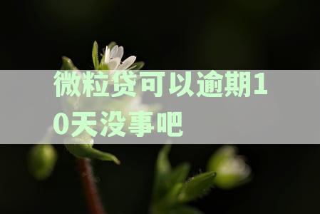 微粒贷可以逾期10天没事吧