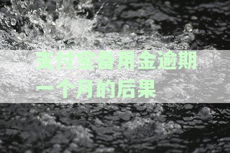 支付宝备用金逾期一个月的后果严重吗？如何处理及安全问题解析