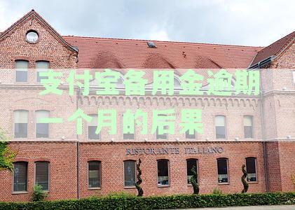 支付宝备用金逾期一个月的后果