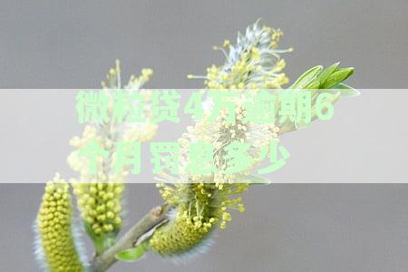 微粒贷逾期四万：起诉后果、利息计算与解决办法