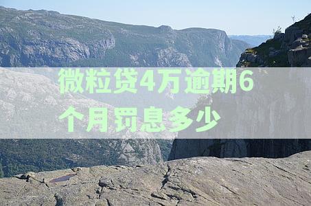 四万多微粒贷逾期的解决策略：如何应对债务困境