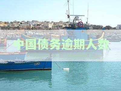 中国负债逾期人数统计：原因、影响及解决措全方位解析
