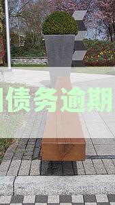 2020年中国逾期人数统计分析：原因、影响与应对措