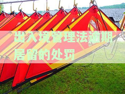 出入境管理法逾期居留处罚解析：全面了解适用条件、罚款标准及程序