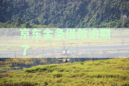 关于京东金条借款逾期未还款是否会影响微信支付功能？
