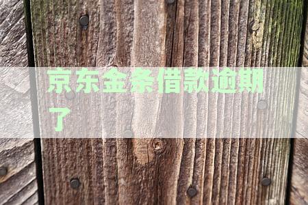 京东金条借款逾期20天后的处理策略和解决办法