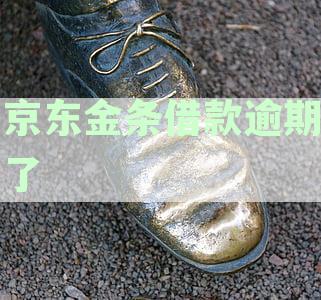京东金条借款逾期了
