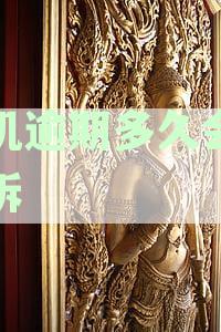 探物租机逾期未还款可能面临的法律后果及诉讼时效解答