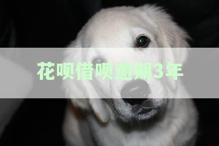 花呗借呗逾期3年了说要起诉我真的吗？