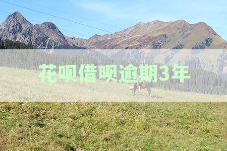 花呗借呗逾期3年未还款，如何与银行协商分期偿还？
